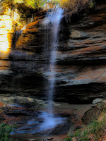Pisgah National Forest - N.C.