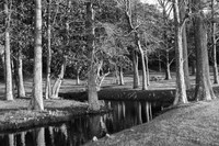 CREEK SIDE